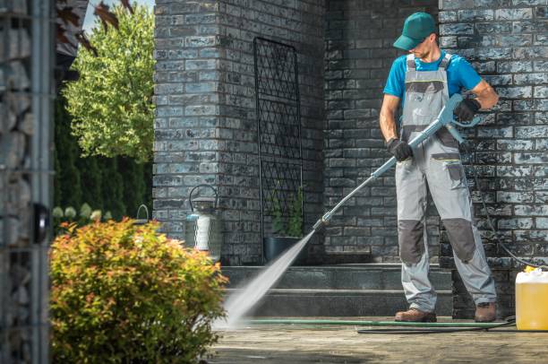 Best Roof Washing  in Lake Isabella, CA