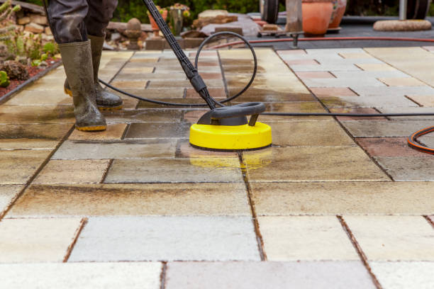 Best Animal Enclosure Cleaning  in Lake Isabella, CA